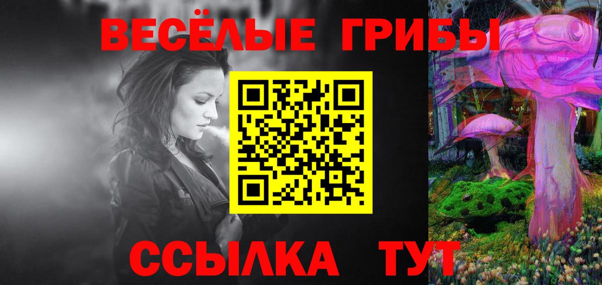 Псилоцибиновые грибы ЛСД  наркошоп  Мытищи  Вход с VPN 